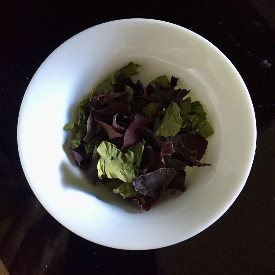 algues, cadmium, contaminant